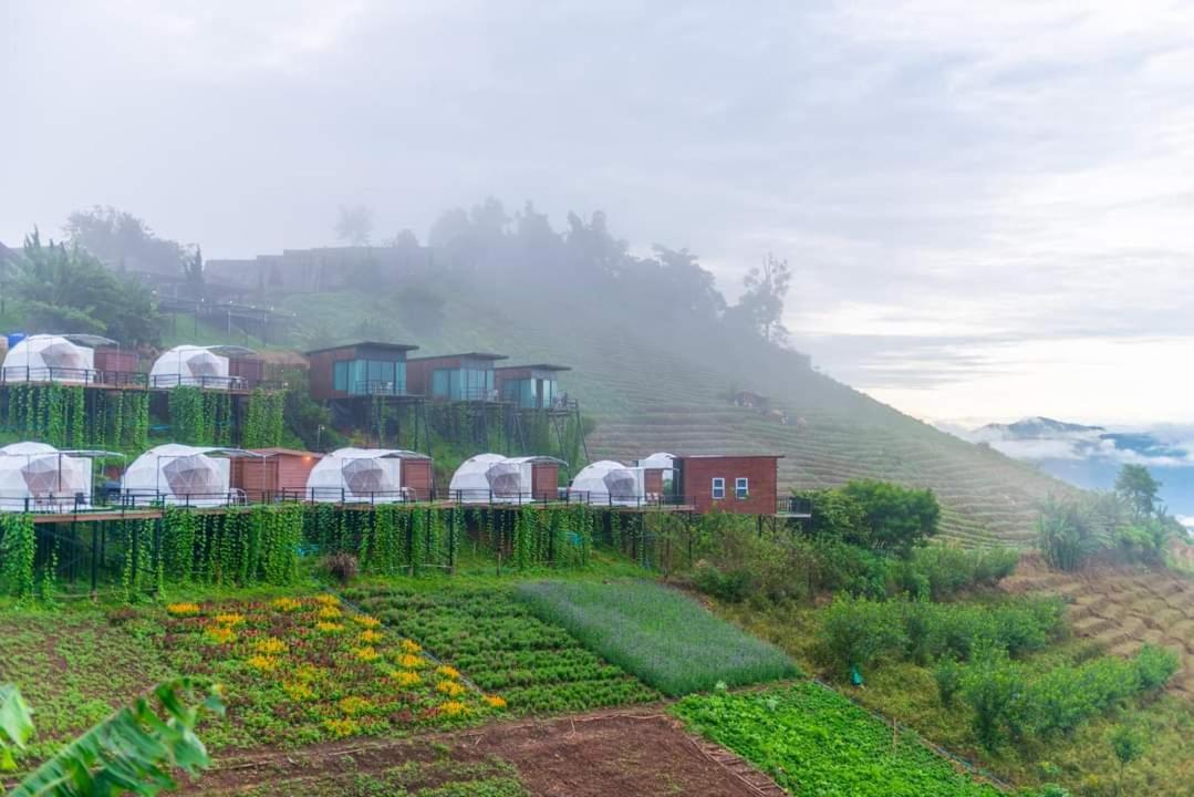 ภูวินคาเฟ่ โฮมสเตย์ Phuwin Cafe Homestay Mon Jam エクステリア 写真