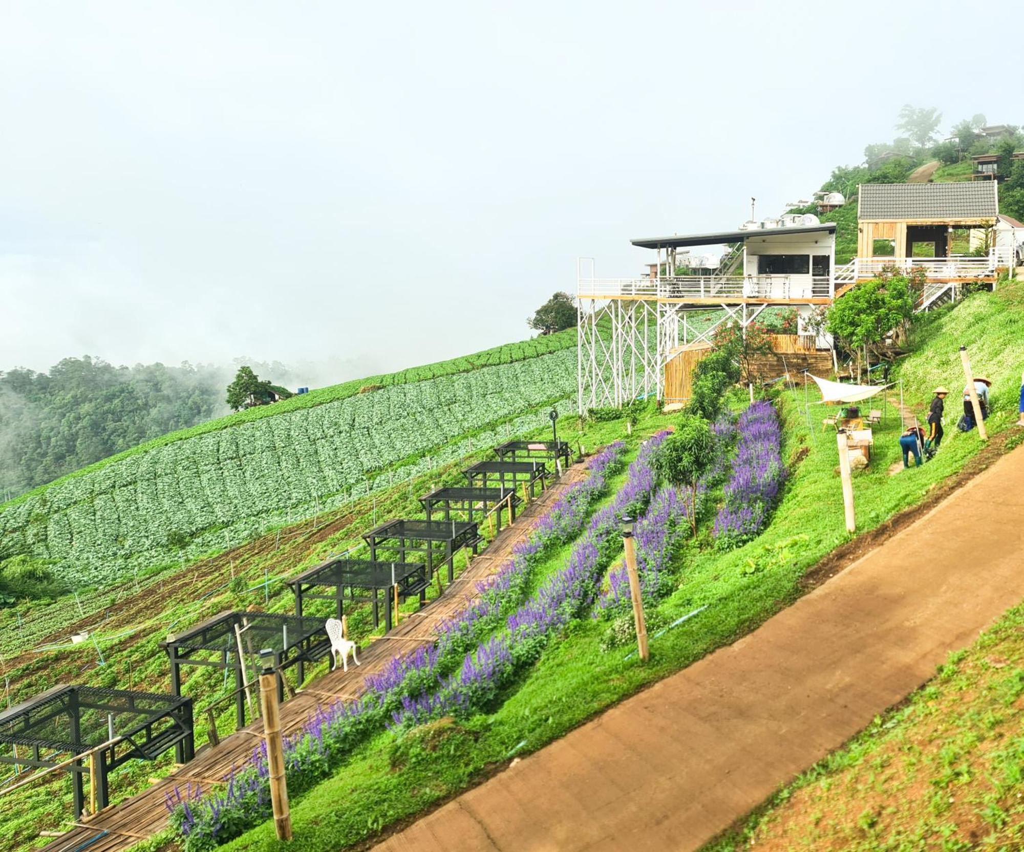 ภูวินคาเฟ่ โฮมสเตย์ Phuwin Cafe Homestay Mon Jam エクステリア 写真